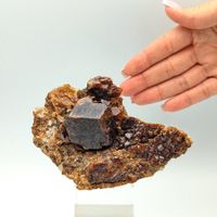 Grosse ANDRADIT, Dunkler GRANAT, 4 cm, Tansania
